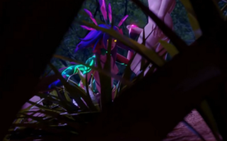 【魔物娘】 Neeko Night