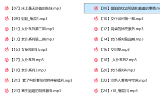 杂01~30中文音声合集【562M】