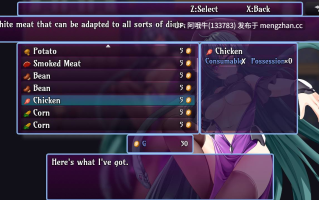 【RPG/战斗/PC/机翻】魔鬼之心 Devil Hearts [v1.00] [DDreamsGames]【726M】【序号5050】