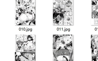 【汉化/28】JK家事代行シリーズ 猫耳コスプレJKのアナルに尻尾プラグを挿して遠隔操作でイタスラしてみた