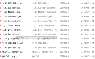 索菲鸭喵酱中文音声合集【1G】