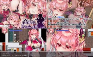 [RPG/官中/凌辱/合集]nikukyu游戏合集