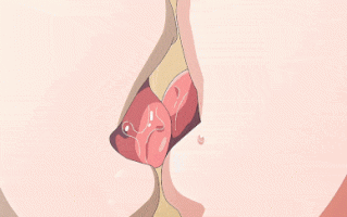 彼女フェイス THE ANIMATION 第1巻 [中文字幕]