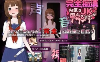 35[SLG官中]【新作】完全痴汉 内向女高中生堕落全过程 完全痴漢 内気なJKが堕ちるまで v1.0 [PC3.73G]