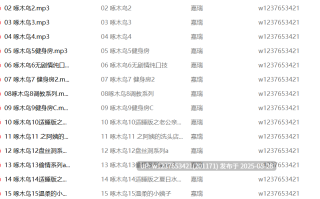 大艺术嘉中文音声合集【400M】