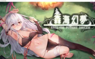 [PC-ACT游戏] 【ACT/官中/步兵】森海幻梦 Ver1.11 官方中文正式版