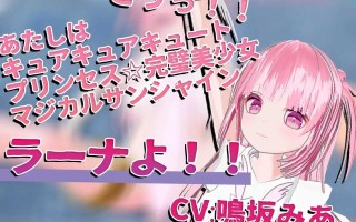 PC/#SLG #VR #生肉 #CV #动态 社团名：#EVSJ  名称：强奸魔法少女 原名：魔法少女を☆犯っつけろ 贩卖日：2024年01月12日 0点 分类：3D作品 萝莉 魔法少女 室外 科幻 野外/野战 催眠