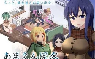 PC/终极汉化V2.0冬日狂想曲Ver1.04整合 /民间汉化100%+通关全CG存档