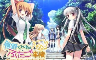 [安卓模拟器/电脑]仓野家双胞胎的故事