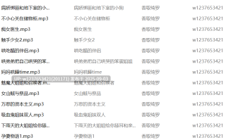 香取绮罗中文音声合集【256M】