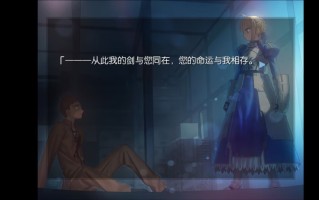 【PC&安卓ONS双端】Fate stay night旧版&Fate stay night高清重置版【共13.7GB】【ADV】【简体中文】【建议收藏】