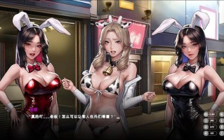 PC 秘密派豪华版v1.7.1.323+DLC
