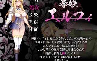 [ACT生肉PC动态像素CV]拳姬艾菲尔 拳姫エルフィ 