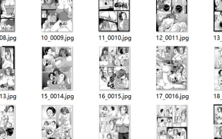 【汉化/31P】ヤめられない二人