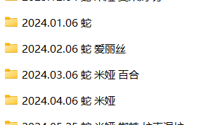 Elasid魔物娘合集 视频5G