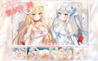 PC/神作SLG/ 恋爱连线—想要传达的恋心  Ver 1.03/ DL官方中文