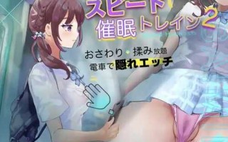 PC/SLG/電車で痴○・催○・お触りシミュレーション/ DL日文原版