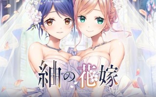 PC/ADV/#紬之花嫁  #紬の花嫁 AI汉化版+全CG存档