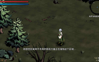 【PC】H版饥荒 黑暗之地编年史：堕落精灵 Dark Land Chronicle The Fallen Elf V0.210【ACT/开放生存沙盒】官方中文