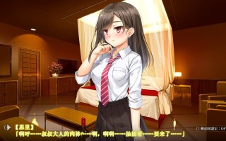 电脑端[ADV] 完美汉化硬盘版 なりゆき→パパ活GIRLS JK姐妹盖饭惠里和千寻的援交日记~