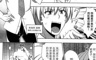 变性交换魔法少女