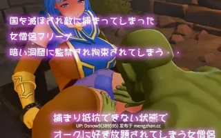 [SLG/动态/生肉] 異世界勇者と女僧侶のパラレルライフ [PC+VR(PC+APK)/2.5G]