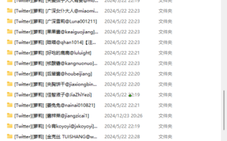 推特萝莉合集 11.6G