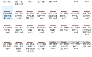 【过于抽象】杏吧骚麦中文音声合集【6.92G】