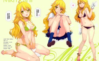 [少女騎士団 (大槍葦人)] IN THE HAREM A SIDE (アイドルマスター) 