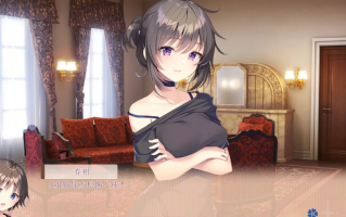 【精品/ADV/官中/纯爱/骨科】我喜欢的人，喜欢女装的我。僕の好きな人の好きな人は、女装した僕でした 官方中文版【2.42GCV】【序号2662】