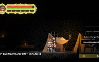 15[ACT动态生肉]【游戏内***.bin的文件改为***.exe即可启动游戏无需登录器】Erica Knight of the sun V0.1.3 [PC900M]