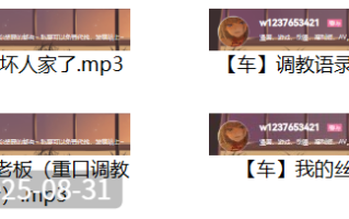 是喵宝呀中文音声合集【176M】