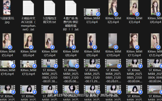 St站国内顶级巨乳女神【Kitten_MiMi】高颜值大奶~性感裸舞【40V/15G】