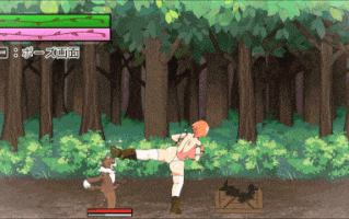 【日系ACT汉化全动态】PC 菲尔～理杏崩溃之森 フェルテ～理杏崩壊した森～ Ver1.0.1【1.84G】