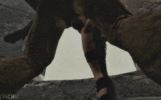 FO4 超级突变体繁殖 Vol. 3