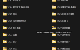 极品画师【NFFA】2024年12月图集整合包【1.91G】