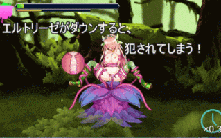 [ACT动态汉化PC异种奸][NineBirdHouse]プリンセスディフェンダー ～精霊姫エルトリーゼの物語～ Princess Defender v1.01[2.46G]