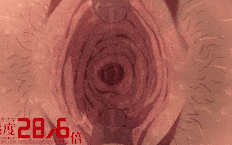 Kazuma 第 4 部分（英语）