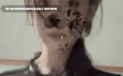  [度盘]顶级大神【世纪金枪】各大素人小姐姐女神约啪【11v3.07g】