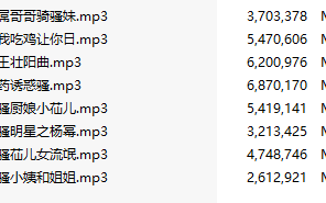 【激情骚麦/8部合一】【MP3版】【中文】【136-143】