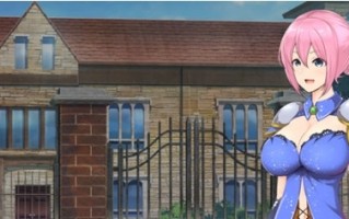 【PC/官中/爆款/ACT游戏/4.37G】圣骑士阿恩与魔孕咒印 Ver1.0.10 DL官方中文版