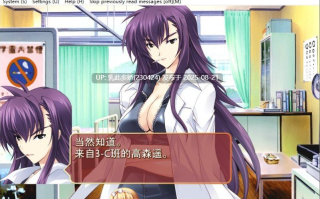 28[ADV-PC] [拔作ADV汉化]超昂闪忍 AI汉化步兵版[1G]