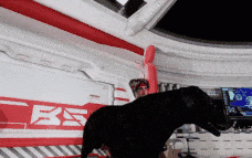 所有狗都去第七天堂第 3 部分