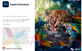 ADOBE PHOTOSHIP 2025