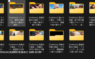 【个人激推❤️】同人Ai大神画师【Tsukinoo】催眠恶堕，怀孕中出，神级图包大合集【2.11G】