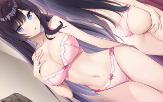 内衣S LingerieS（ランジェリーズ）V1.22+DLC  官中 /存档