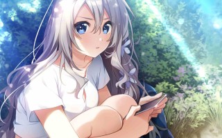 [ADV/汉化]夏ノ終熄  #夏ノ終熄