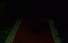 阿什利 _“Baby Eagle” - 繁殖地 _[繁殖_出生警告]