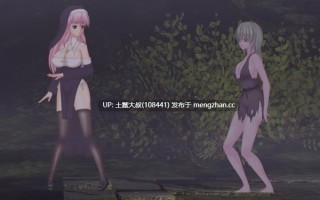 【2D日式ACT 横板战斗 腐败 女主 修女 怪物 官方中文】不圣洁的祈祷 UnHolY PraYeR [2025-09-24] 1.3GB