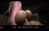 音乐艺术家合辑